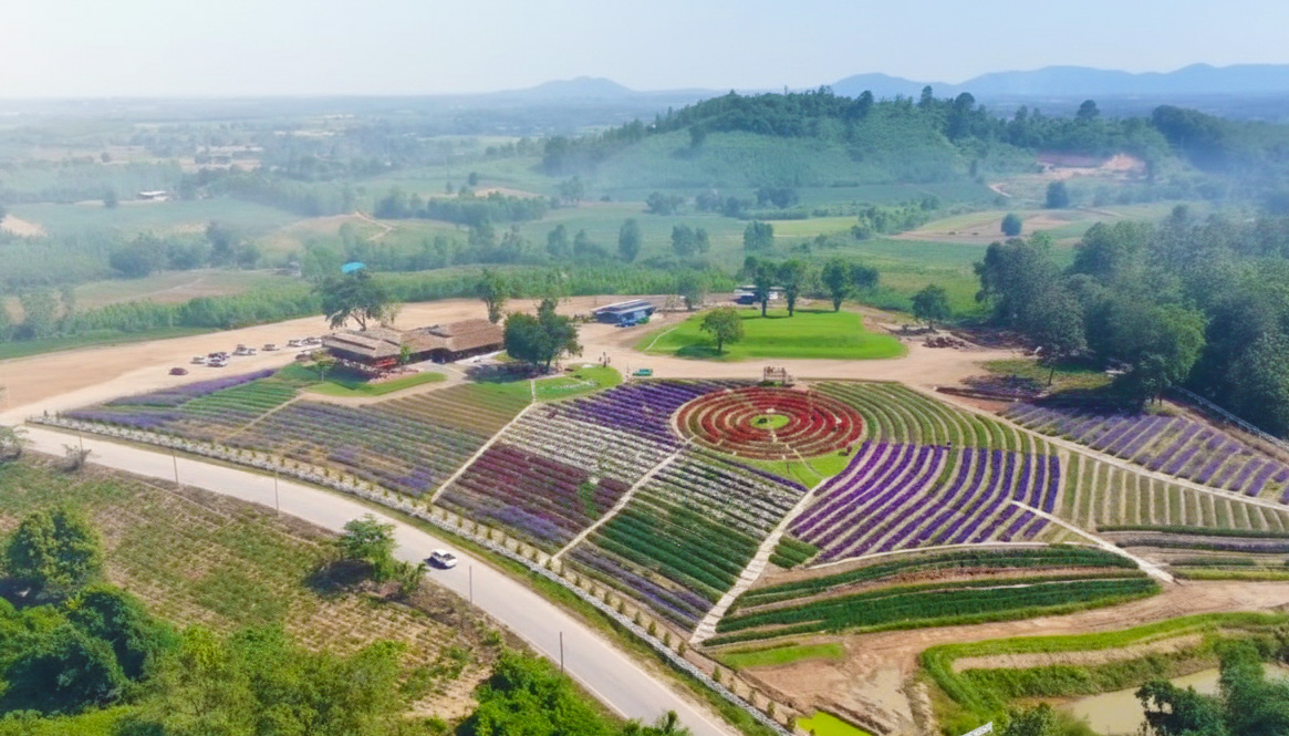 ภาพบรรยากาศสวนดอกไม้คลองลาน ฟลอร่า พาร์ค 2 ภาพบรรยากาศสวนดอกไม้คลองลาน ฟลอร่า พาร์ค 2