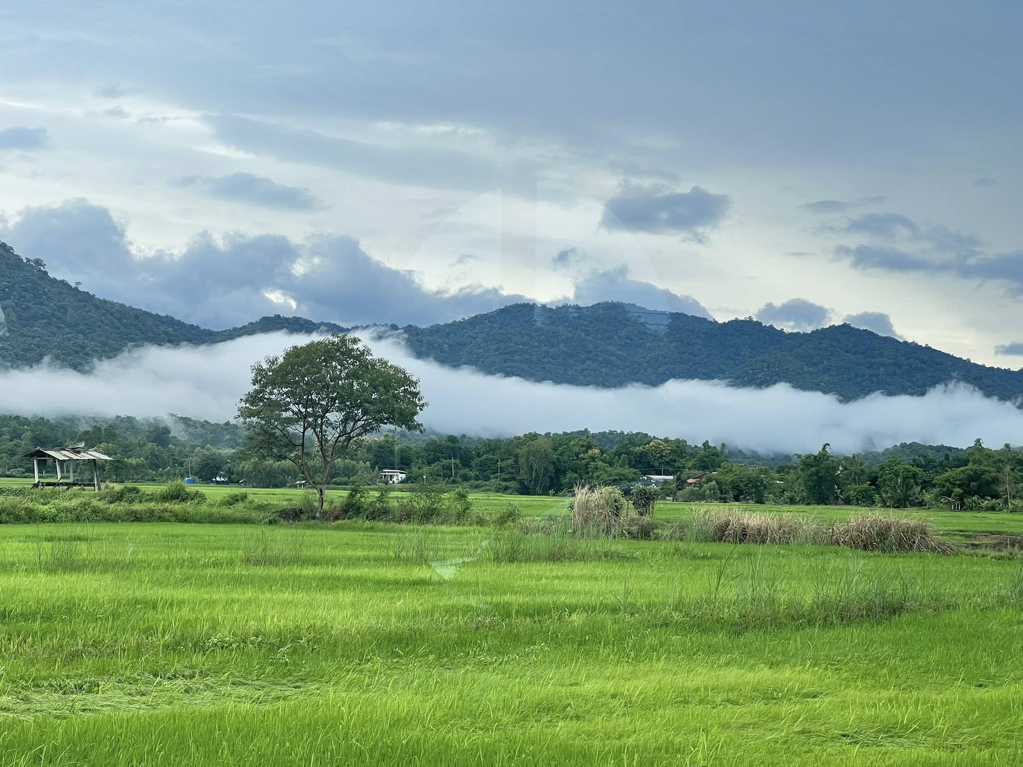 ภาพบรรยากาศบ้านภูเคียงนา คลองลาน (Baan Phu Kiang Na) 12