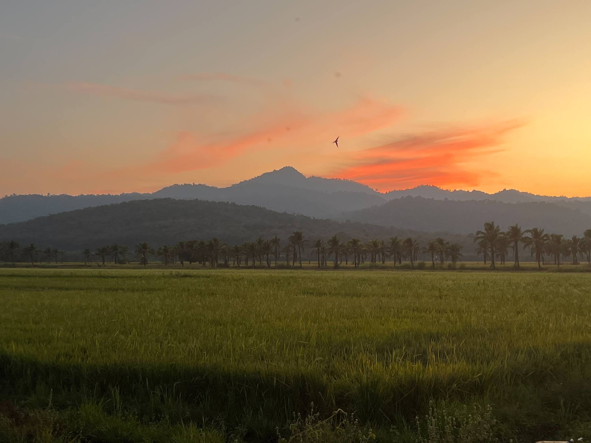 ภาพบรรยากาศบ้านภูเคียงนา คลองลาน (Baan Phu Kiang Na) 15