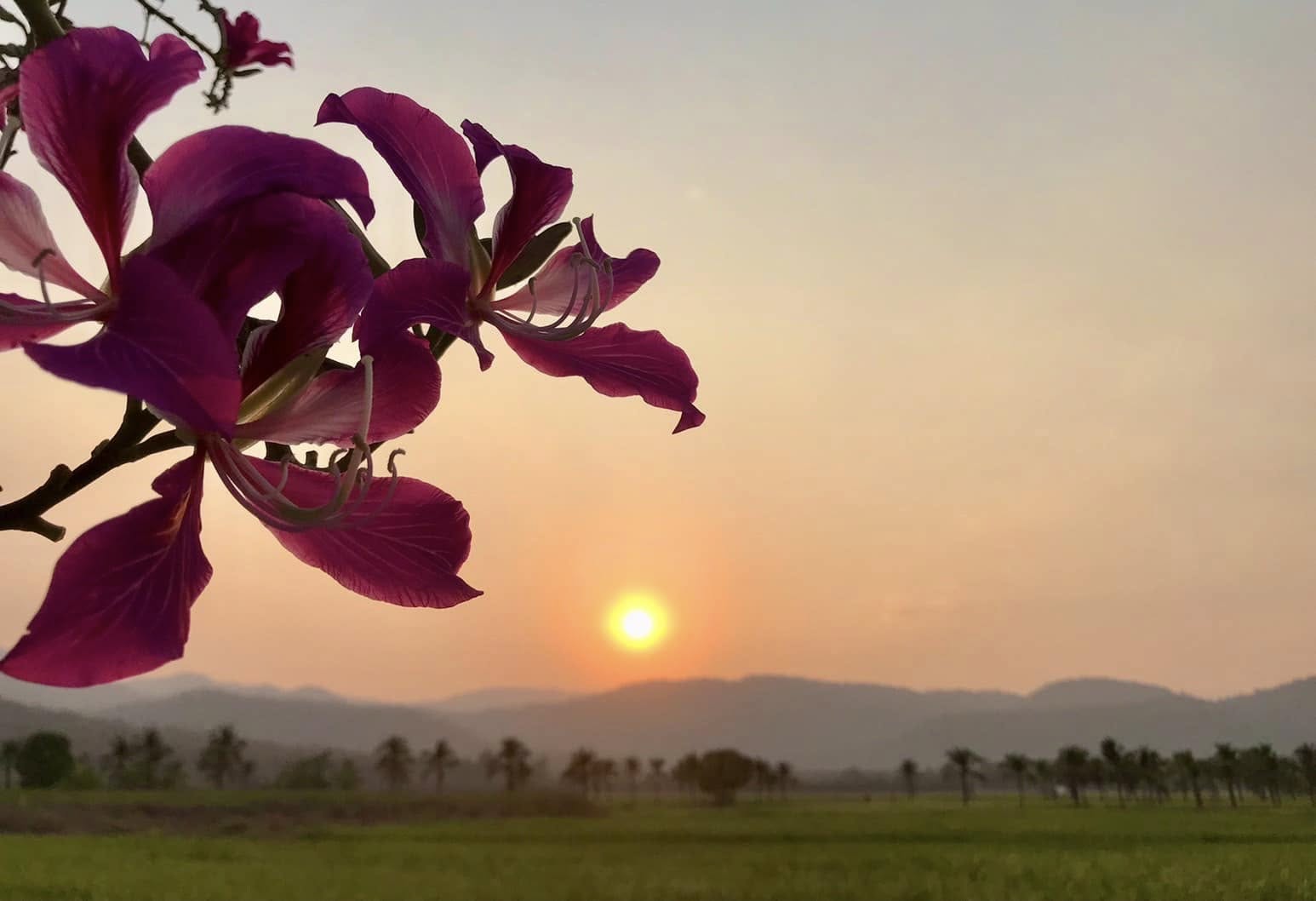 ภาพบรรยากาศบ้านภูเคียงนา คลองลาน (Baan Phu Kiang Na) 5