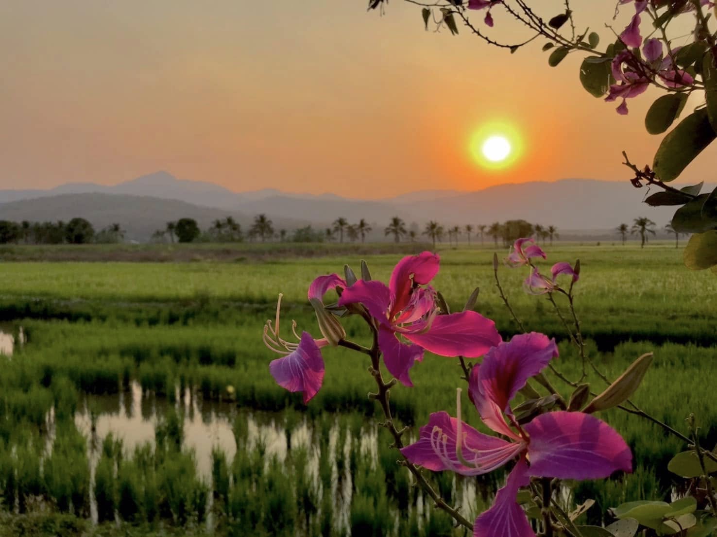 ภาพบรรยากาศบ้านภูเคียงนา คลองลาน (Baan Phu Kiang Na) 6