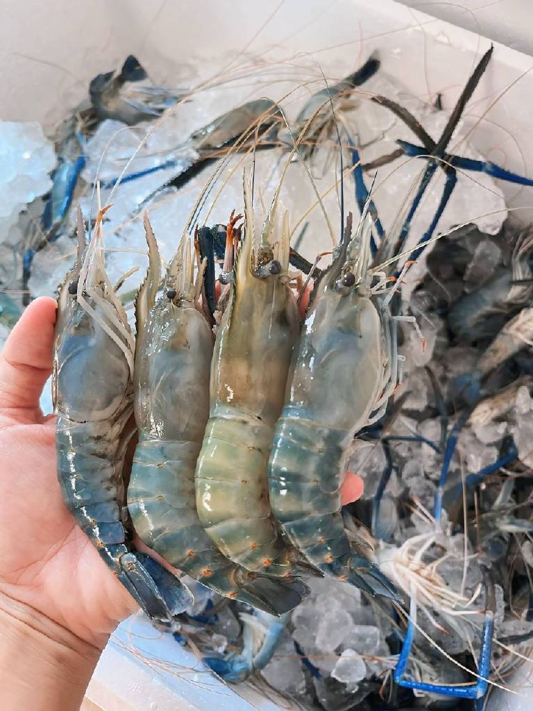 ภาพบรรยากาศเพื่อนกันชาบู 14 ภาพบรรยากาศเพื่อนกันชาบู 14