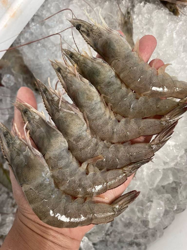 ภาพบรรยากาศเพื่อนกันชาบู 15 ภาพบรรยากาศเพื่อนกันชาบู 15